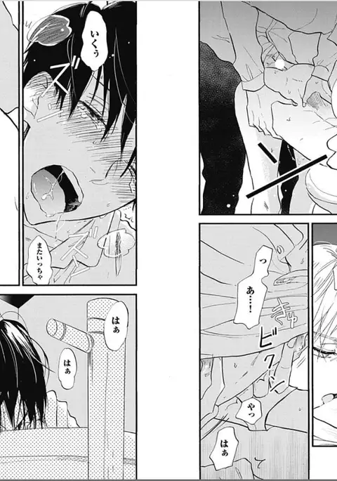 Seishun Shikkaku