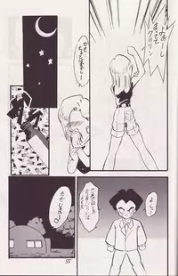 (CR14) [Kokuryuukigun (Various)] P-ARK (Dragon Ball Z) [Incomplete]
