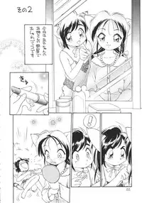 (C53) [Dedepoppo (Ebifly, Neriwasabi)] Uwasa no Neko Shuukai