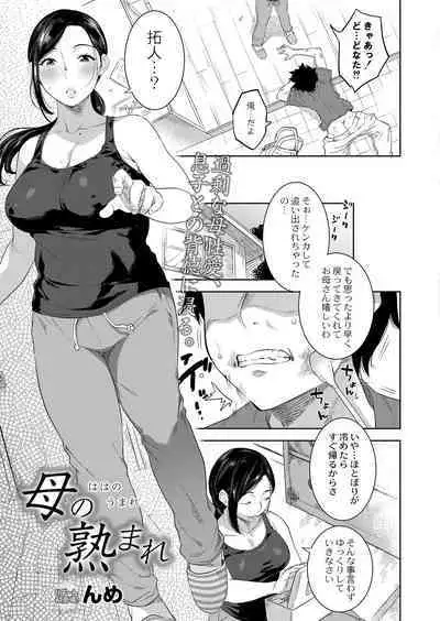 COMIC Reboot Vol. 39