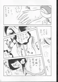 (C61) [Ginmomodou (Mita Satomi)] Yogosareta Gigai (Bleach)