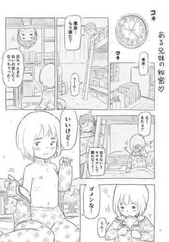 Seiseki Up! Tokubetsu Kojin Jugyou no Himitsu