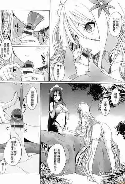 Houshi Shuzoku ga Yattekita!