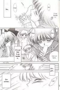 Sailor Venus - The Stray Cat