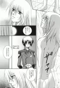 (C67) [Vitamin-x (Sanmangoku Hoshiko)] GOLD DUST (Gundam SEED DESTINY)