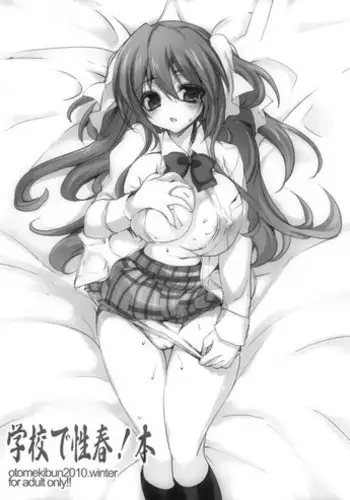 (C79) [Otomekibun (Sansyoku Amido.)] Gakkou de Seishun! Hon [Chinese] [千易夏河崎個人漢化]