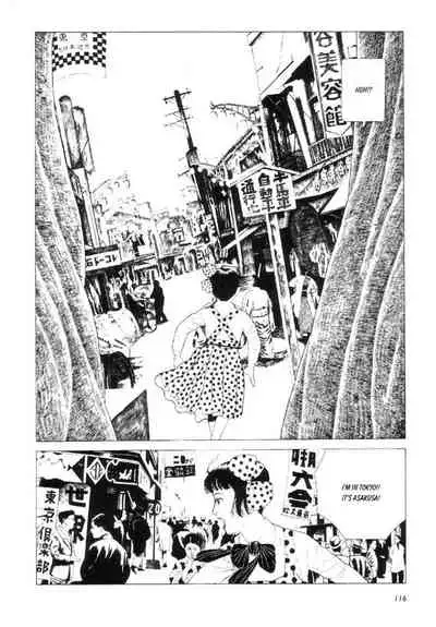 Shōjo Tsubaki | Mr. Arashi's Amazing Freak Show