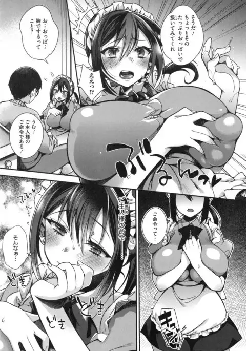 Ojousama to Maid no Midarana Seikatsu