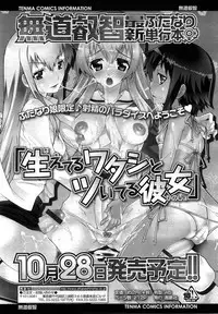 COMIC RiN 2010-11