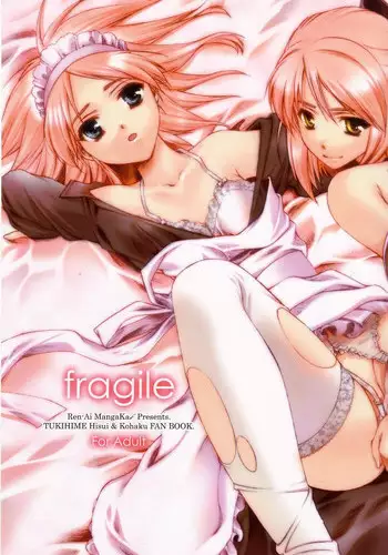 (C62) [Ren-Ai Mangaka (Naruse Hirofumi)] SCRIBBLE PROJECT 2 (Tsukihime)