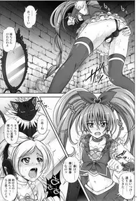 (C80) [Cyclone] T-04 SUISUI (Suite PreCure♪)