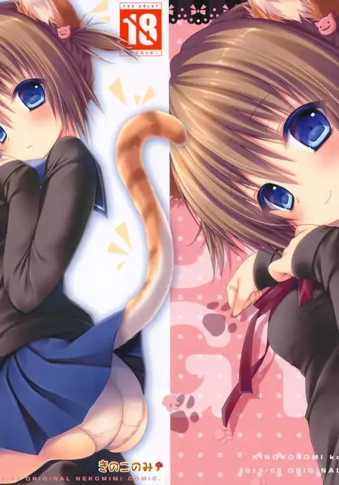 Nyancology -Kaettekita Nekota-san No himitsu-