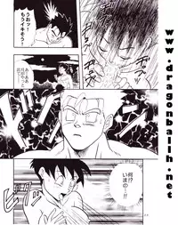 (C54) [Chirigami Goya, Fusuma go Ten (Shoji Hariko)] Tirinuruwo (DRAGON BALL)