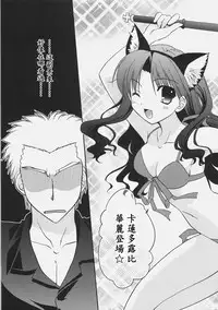 (C72) [C.A.T (Morisaki Kurumi)] RED/II (Fate/stay night) [Chinese] [wl00314824個人漢化]