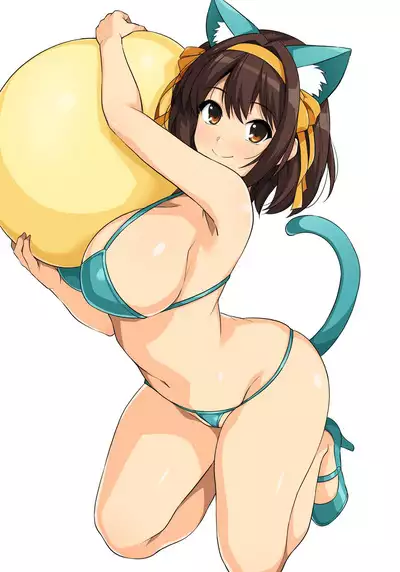 Harucos 14