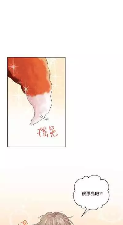 奇妙玩具来袭 Peach, Pitch Tail 01+02