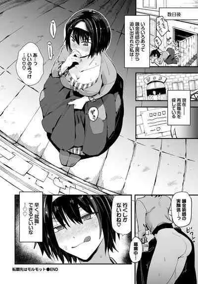 COMIC BAVEL 2023-04