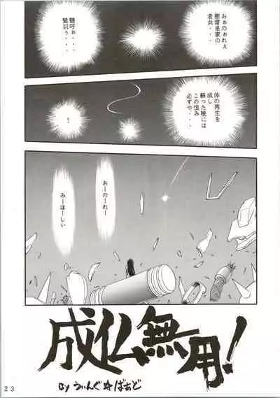 (C49) [Jingai Makyou Club (WING☆BIRD)] Gremlin Club (Sailor Moon, Tenchi Muyo!)