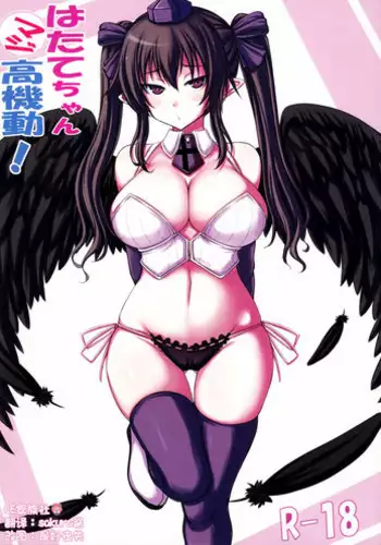 (C84) [Ruciedo (jema)] Pachi x Tate (Touhou Project)