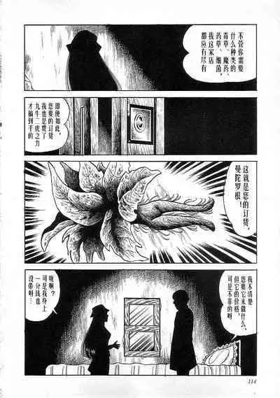 Majo Kyoushi Mayako