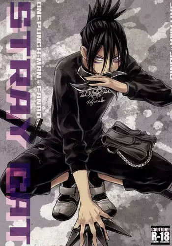 (C86) [LITHIUM (Yukimaru)] stray cat (One Punch Man) [Chinese] [没有汉化]