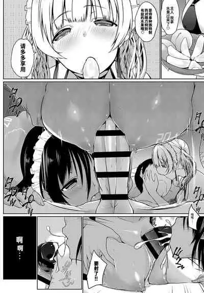 Houshi Shuzoku ga Yattekita!