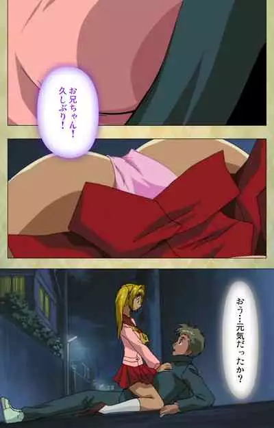 Gakuen Kanzenban