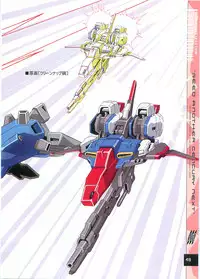 (C70)[Henrei-kai (Kawarajima Koh)] G-heroines (Kidou Senshi Gundam SEED DESTINY)