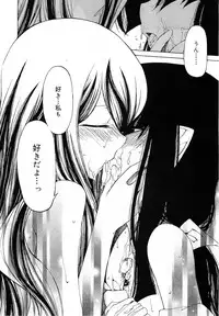 COMIC RiN 2010-11