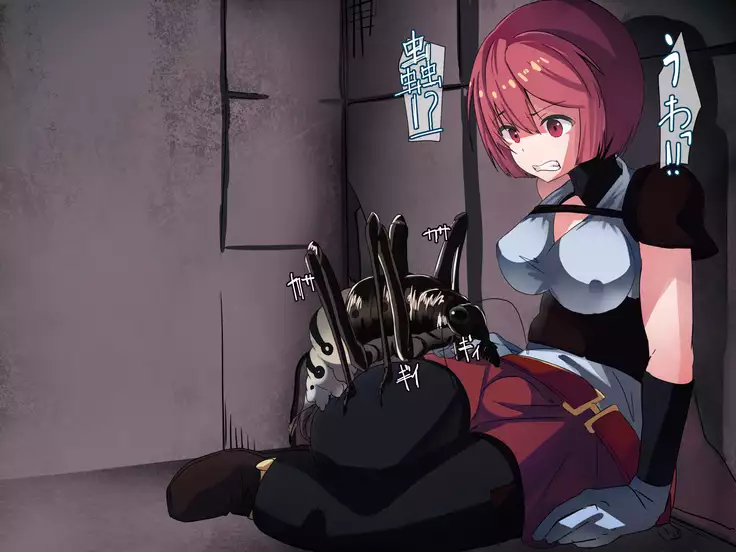 Kaizouzumi Onna Boukensya no Bouken