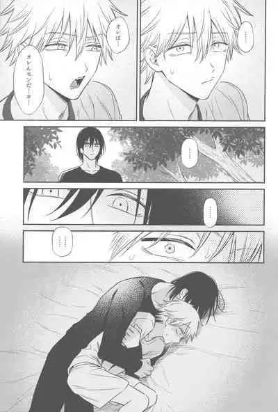 Shelter