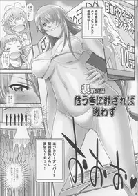 (COMIC1☆4) [Diogenes Club (Haikawa Hemlen)] Shokukan Mankan Zenseki 3 (Ikkitousen)