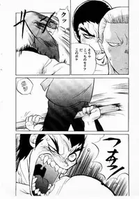 [Yamamoto Kenji] Seiken Cinderella