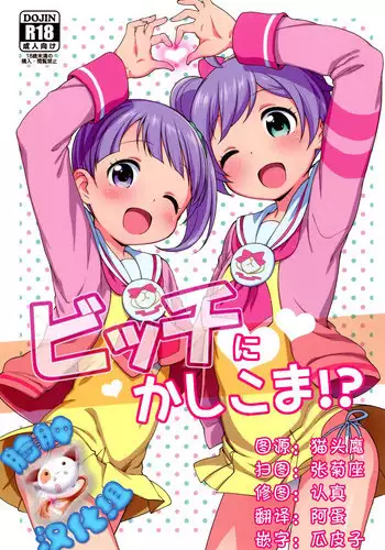 (C75) [Kaniya (Kanyapyi)] Iinnchou Ijiri (Mega Man Star Force)