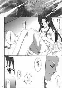 (C66) [Hanzai Tengoku (Hasei Agana)] ACCESS CODE PRIMARY (Fate/stay night)