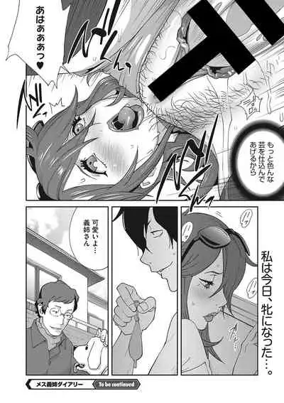 Mesu Gishi Diary