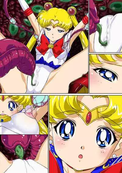 Sailor Moon Chu!
