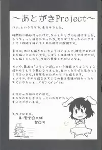(Suukeisai) [Shin Hijiridou Honpo (Hijiri Tsukasa)] Usagi no Miru Yume (Touhou Project)