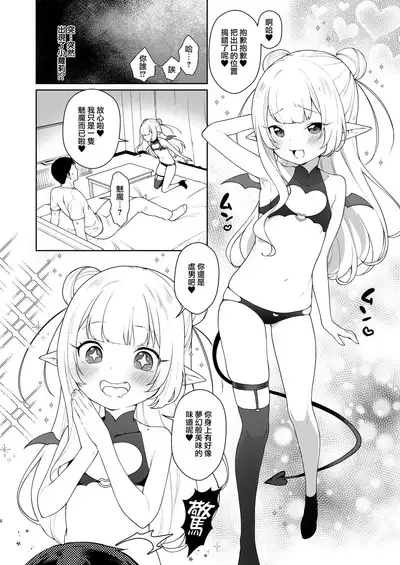 Chibi Succu Shiko Life