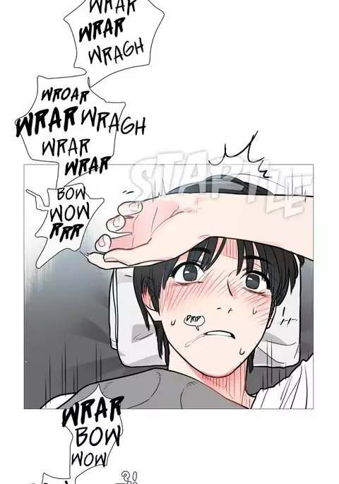 Sadistic Beauty Ch.1-19
