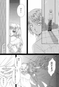 [Anthology] Pure Petit Vol.17