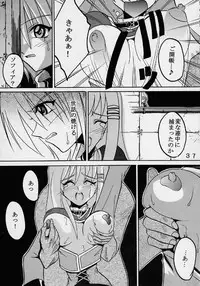 [St Rio] Private Action vol. 1 (Star Ocean)