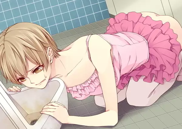 Rudora no kyousei 2 ~ joseika kanryou houkokusho~
