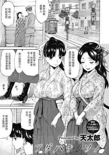 刑部姫は落とせない