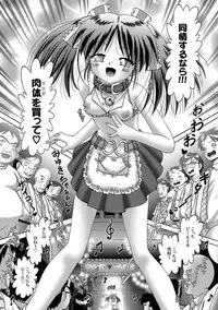 [Bow Rei] Shoukoujo Miyuki ~Hakkou Bishoujo Ryoujoku Monogatari~ Ch. 9-15 (Final)