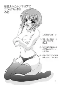 (CR37) [Red Ribbon Revenger (Various)] Flying Dragon (Gundam Seed Destiny)
