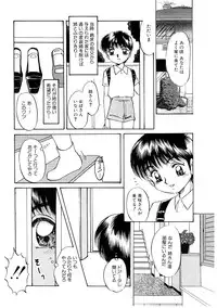 [Nakafusa Momo] Himitsu no Tobira
