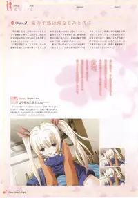 clover heart's visual fan book