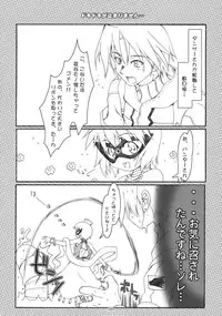 (C69) [SION (Hotori)] ASSUMPTIO (Ragnarok Online)