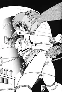 [Thirty Saver Street & Studio Z-Agnam] 2D Shooting (Sailor Moon) [English]